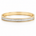 Alexa Bracelet